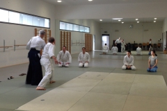 aikido_p1k