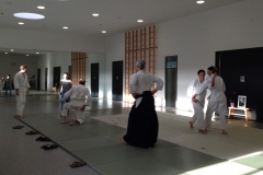 aikido_p3k
