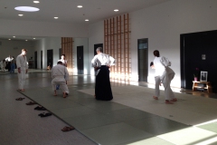 aikido_p4k