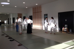 aikido_p5k