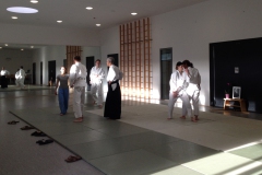 aikido_p6k