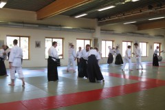 IMG_8554