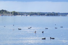 IMG_0886