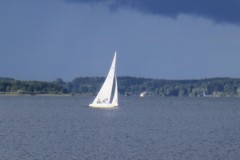 IMG_0908