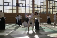 IMG_0962