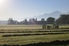 IMG_1035