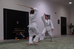 DSC00151-scaled