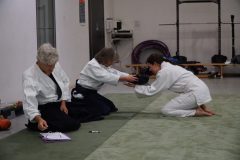 DSC00227-scaled