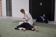DSC00773-scaled