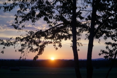 DSC03521